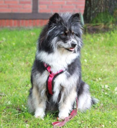 IMG-20230725-WA0009_1-2